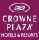 Crowne Plaza St.Petersburg Airport Crowne Plaza St.Petersburg Airport