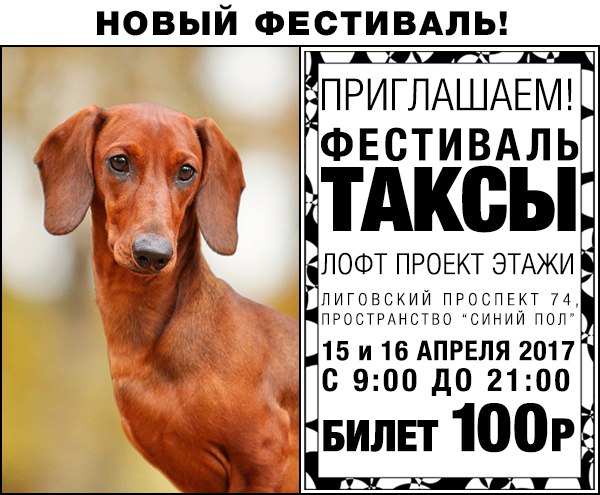 Фестиваль ТАКСЫ Фестиваль ТАКСЫ
